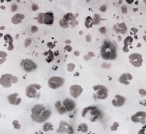 20 - Cheeta