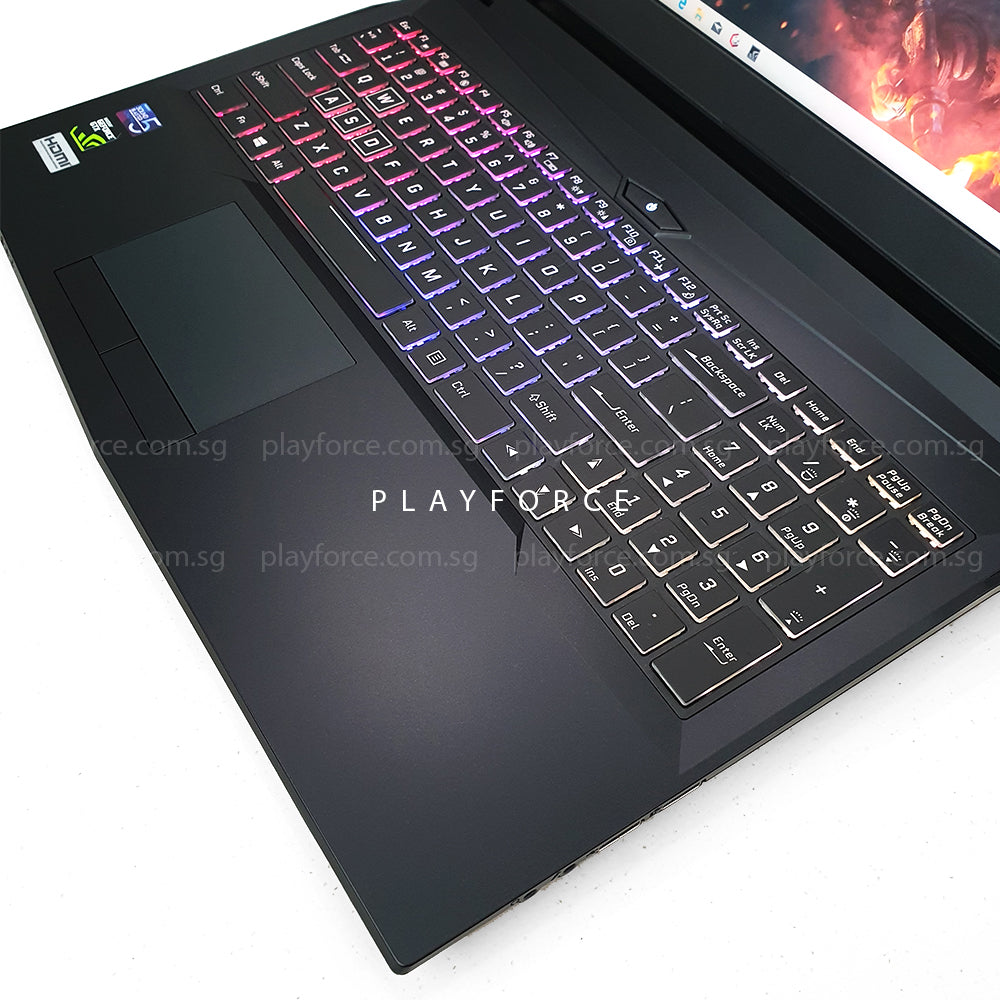 MX15 Pro Gaming Laptop - Intel Core i7-8750H, NVIDIA GTX 1060, 15.6