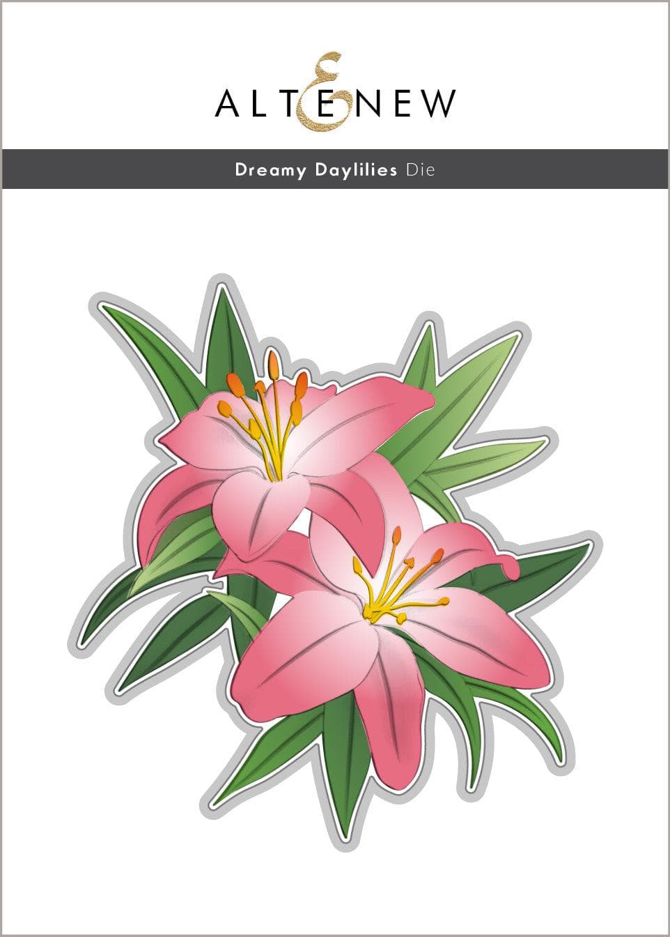 Dreamy Daylilies - Beautiful Perennial Flowers for Garden Landscaping | Perfect for Borders, Containers & Cut Flower Arrangements