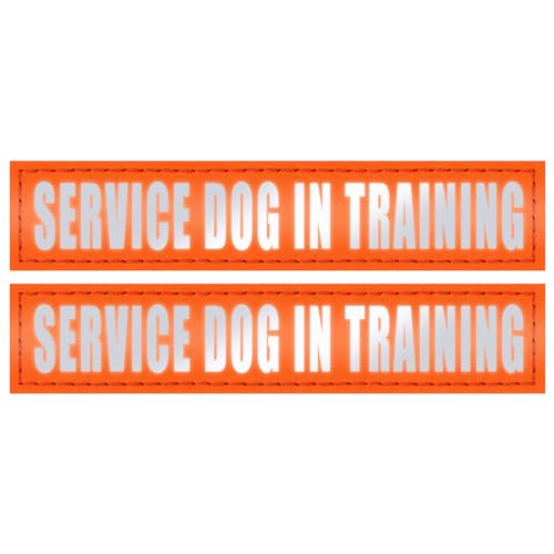Service Dog In Training (2 Pack Orange)