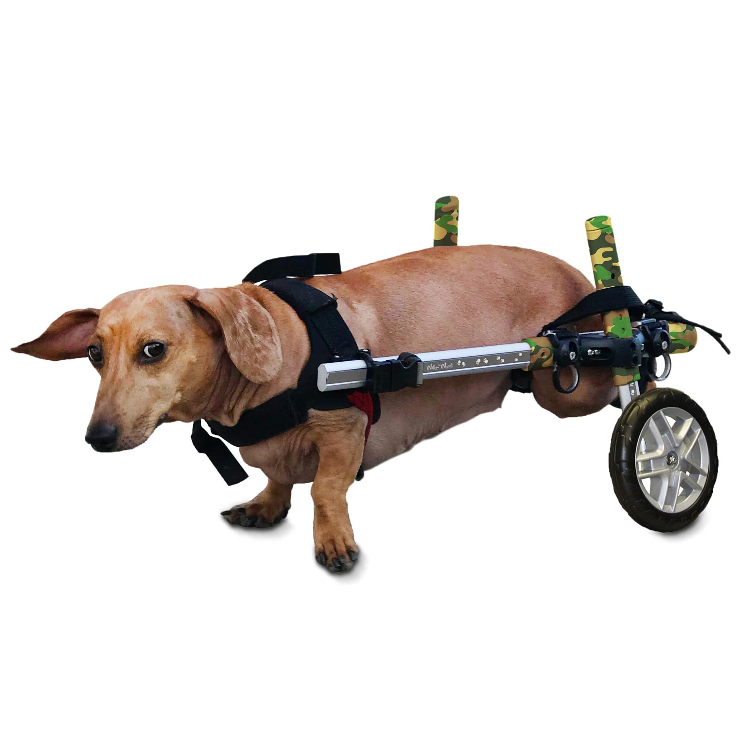 Dachshund Wheelchair for Small Dogs 2-30+ lbs - Vet Approved Rear Leg Support - Adjustable Dog Mobility Aid for IVDD, Arthritis & Injury Recovery - Perfect for Indoor & Outdoor Use