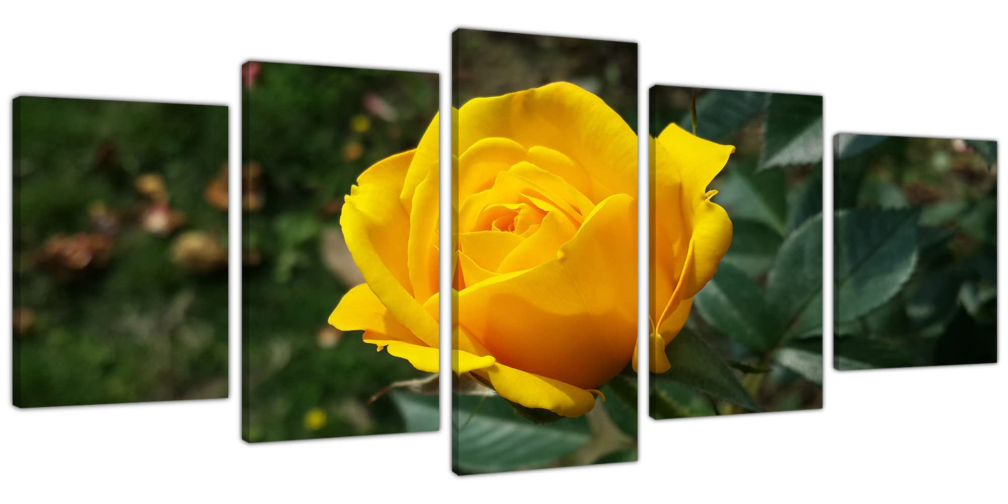 Yellow Rose Flower 5-Panel Canvas Wall Art - Modern Home Decor for Living Room & Bedroom - Stretch & Frame Ready to Hang (40x20 inches) - Perfect Above Bed Decor, Housewarming Gift & Office Wall Art