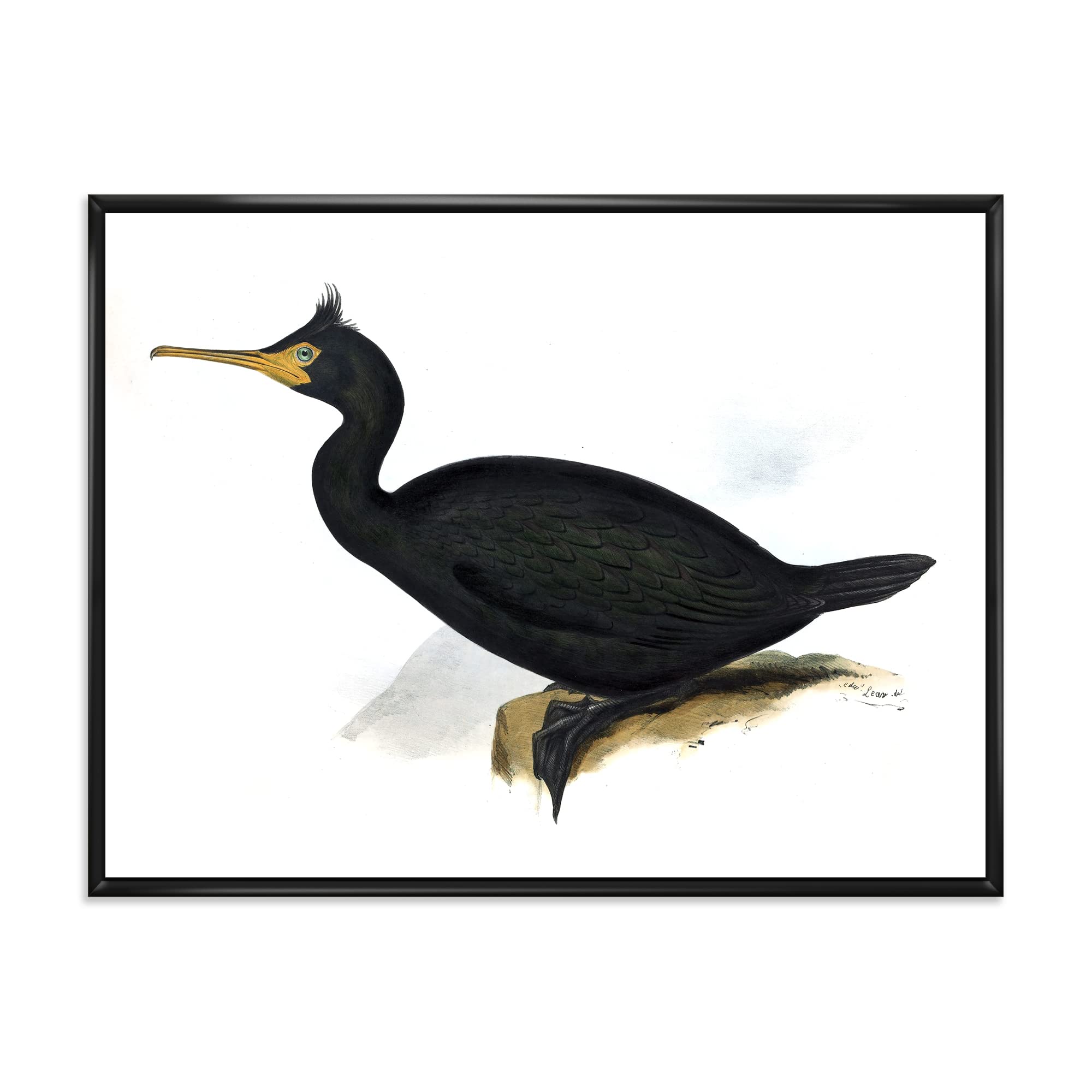 DesignQ Vintage Bird Life IV - Traditional Framed Canvas Wall Art Print | Nature-Inspired Home Decor | Perfect for Living Room, Bedroom & Office Decor