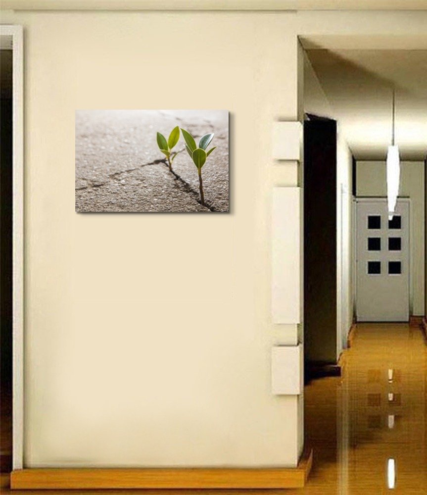 Weed Growing Through Crack in Pavement Canvas Wall Art - 24