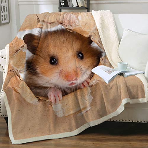 Hamster