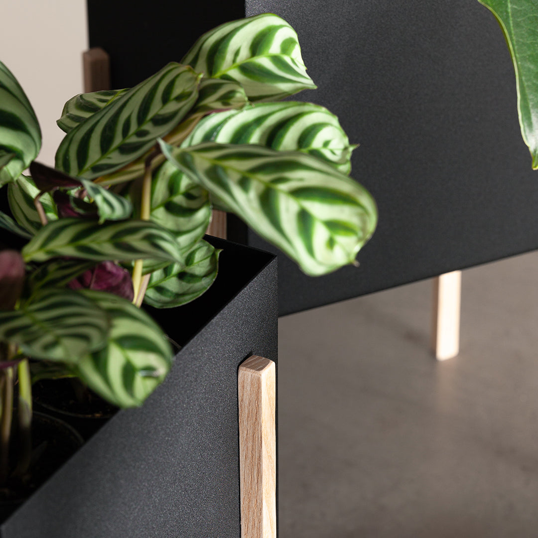 Atelier Botanic Pot Design House Stockholm - Handmade Ceramic Plant Pots for Home & Office Decor | Perfect for Indoor Plants, Succulents, and Herbs