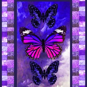 Butterfly Theme