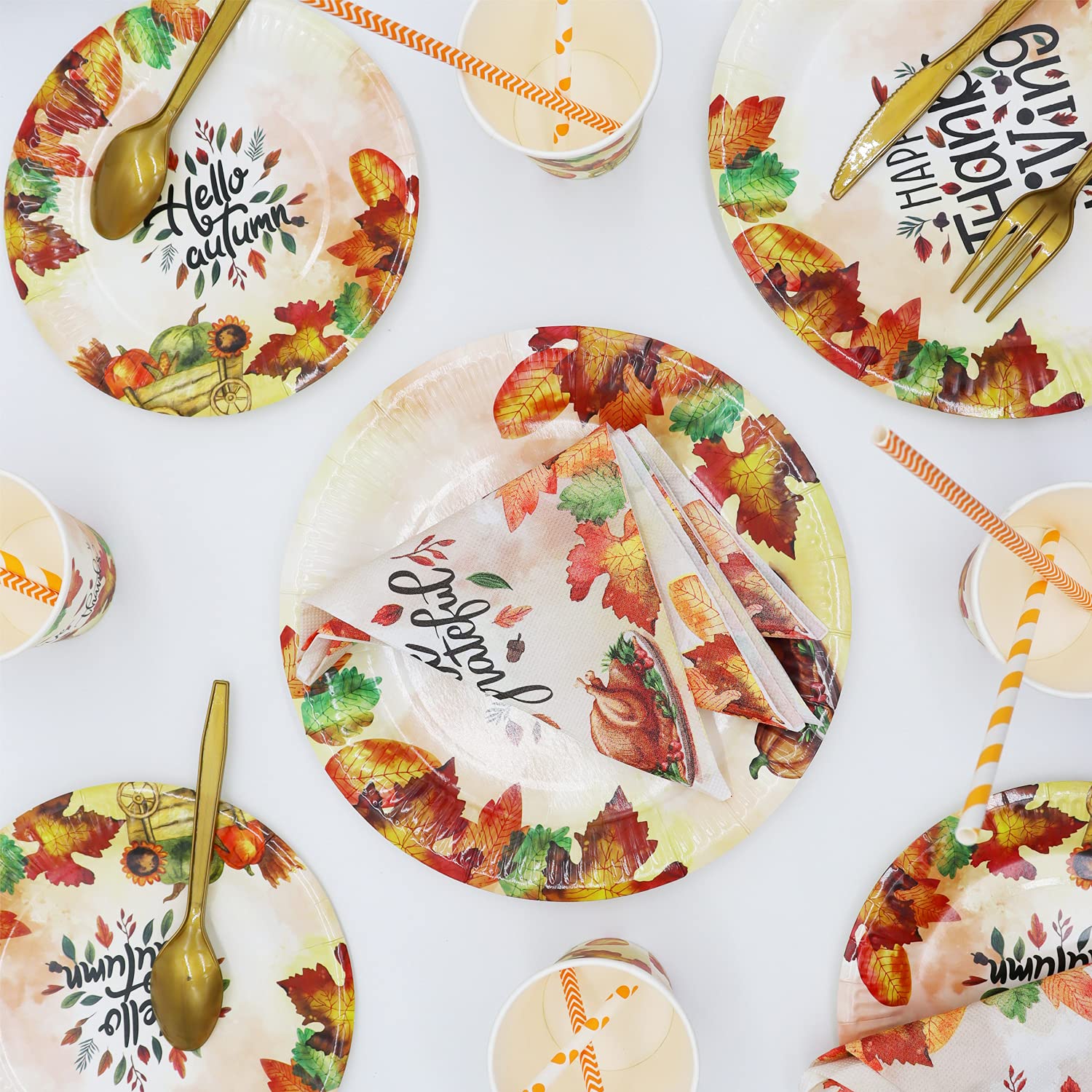 Thanksgiving Paper Plates Set for 24 Guests - 9