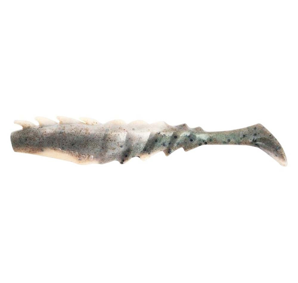 Molting Shrimp