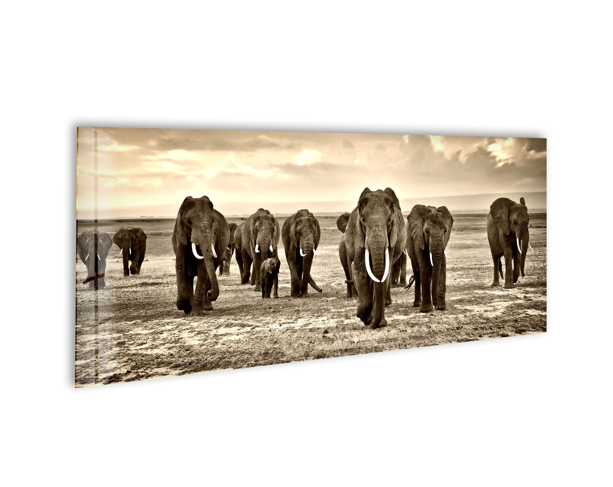 Stunning Black & White African Elephants Glass Wall Art - Elegant Home Decor for Living Room, Bedroom & Office - Perfect Gift for Wildlife Lovers