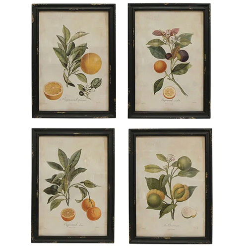 Botanical Wall Art Prints - Set of 4 Floral Nature Paintings for Home Decor | Perfect for Living Room, Bedroom & Office Wall Decor