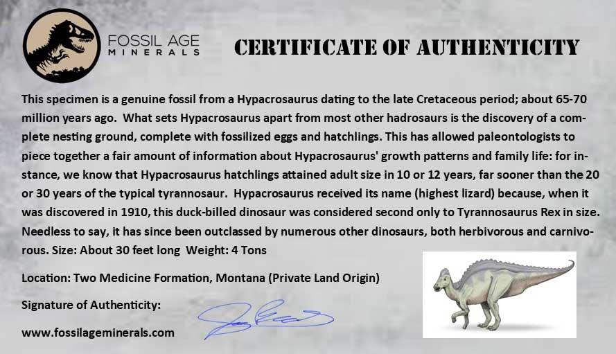 Authentic 2.1