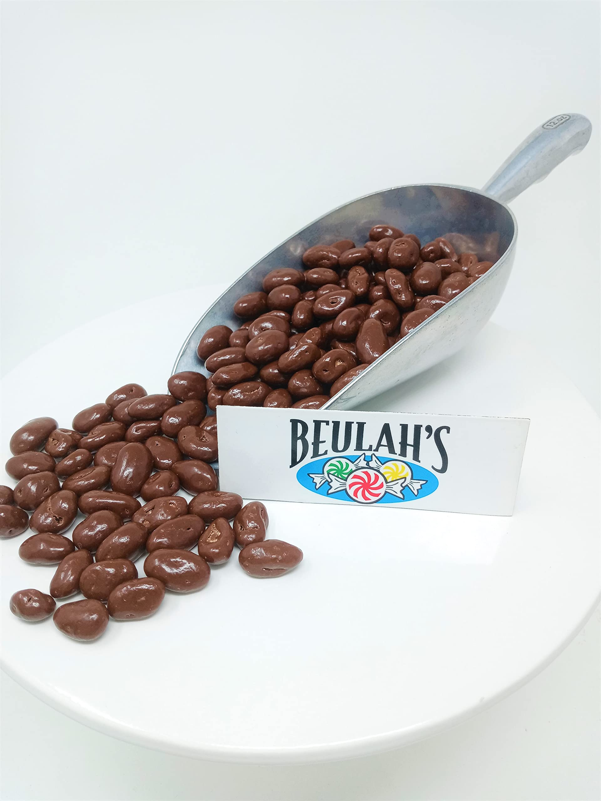 Sugar-Free Milk Chocolate Covered Raisins - 5 lb Bulk Pack | Healthy Snack for Kids, Parties & Dessert Toppings