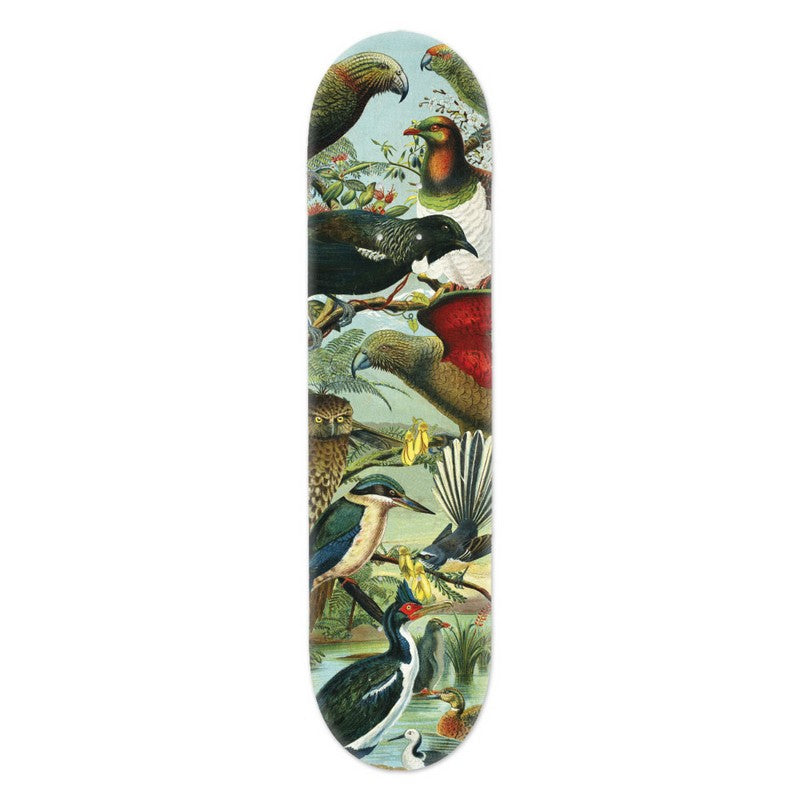 Skateboard Deck Art - Native Birds of New Zealand Design | Premium Skateboard Graphic for Urban & Street Skating