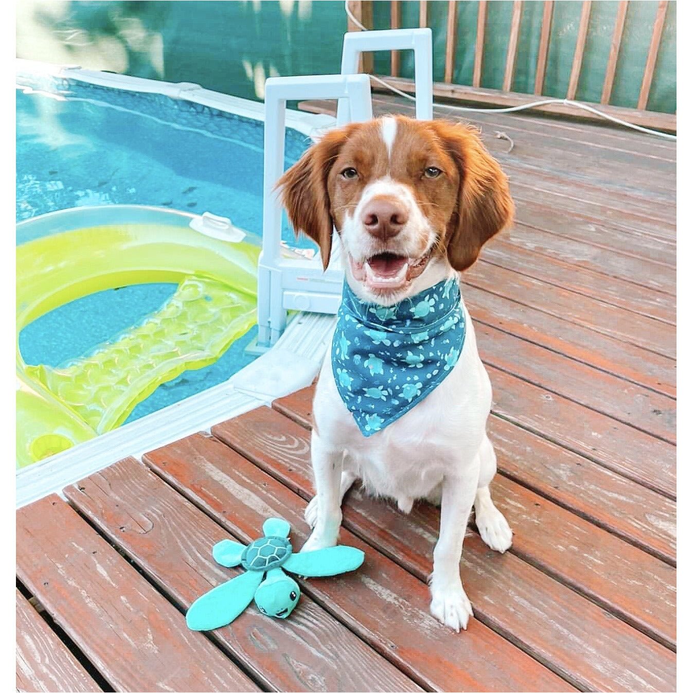 Turtley Dude Bandana - Stylish Turtle Print Bandana for Men & Women - Perfect for Outdoor Activities, Hiking, and Casual Fashion