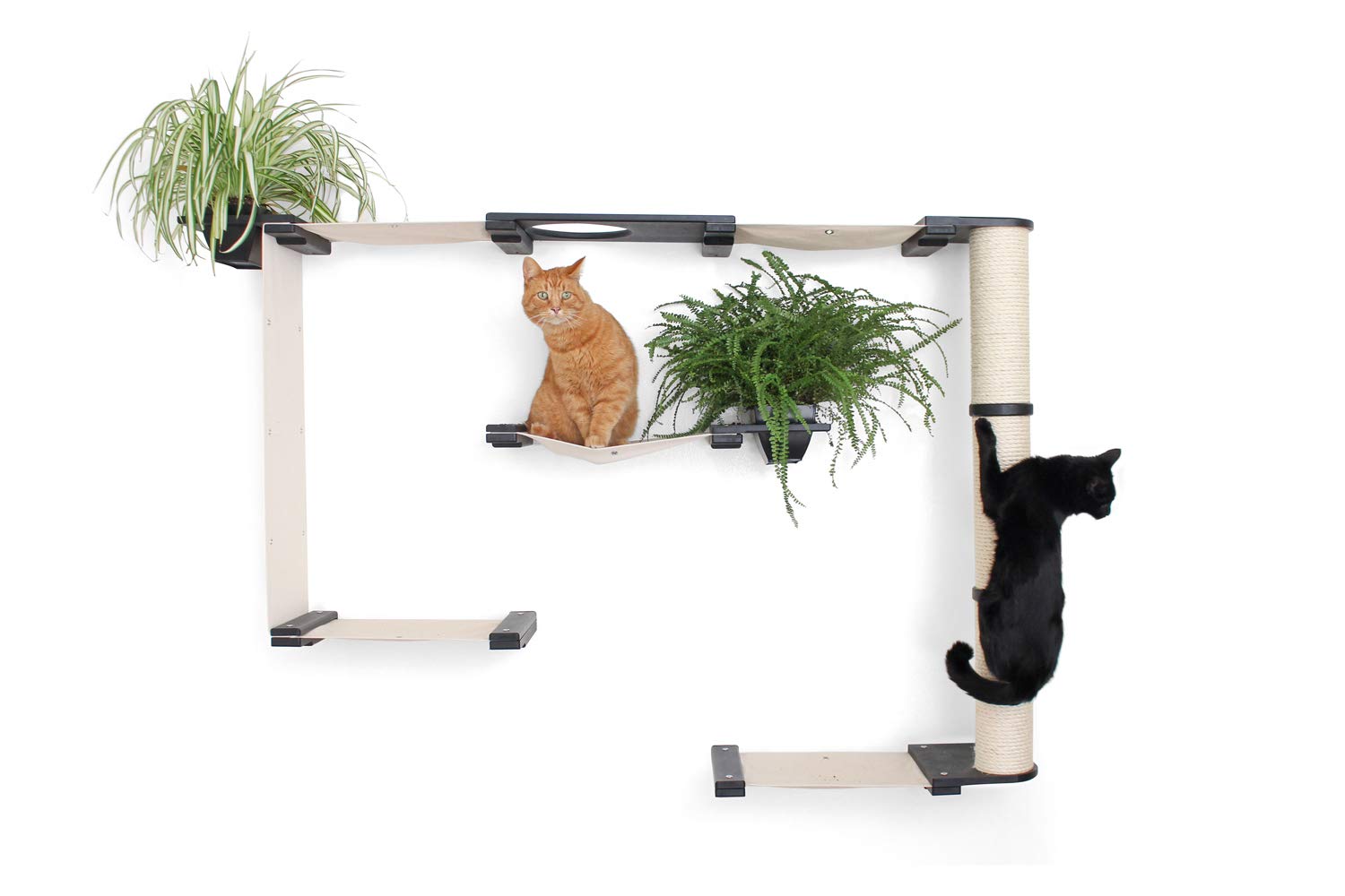 Multi-Level Cat Hammock & Climbing Wall Shelf - Space Saving Cat Activity Center with Scratching Posts, English Chestnut/Charcoal - Perfect for Indoor Cats, Small Apartments & Wall-Mounted Play Areas