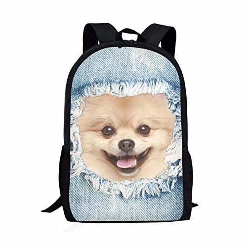 3d Denim Pomeranian