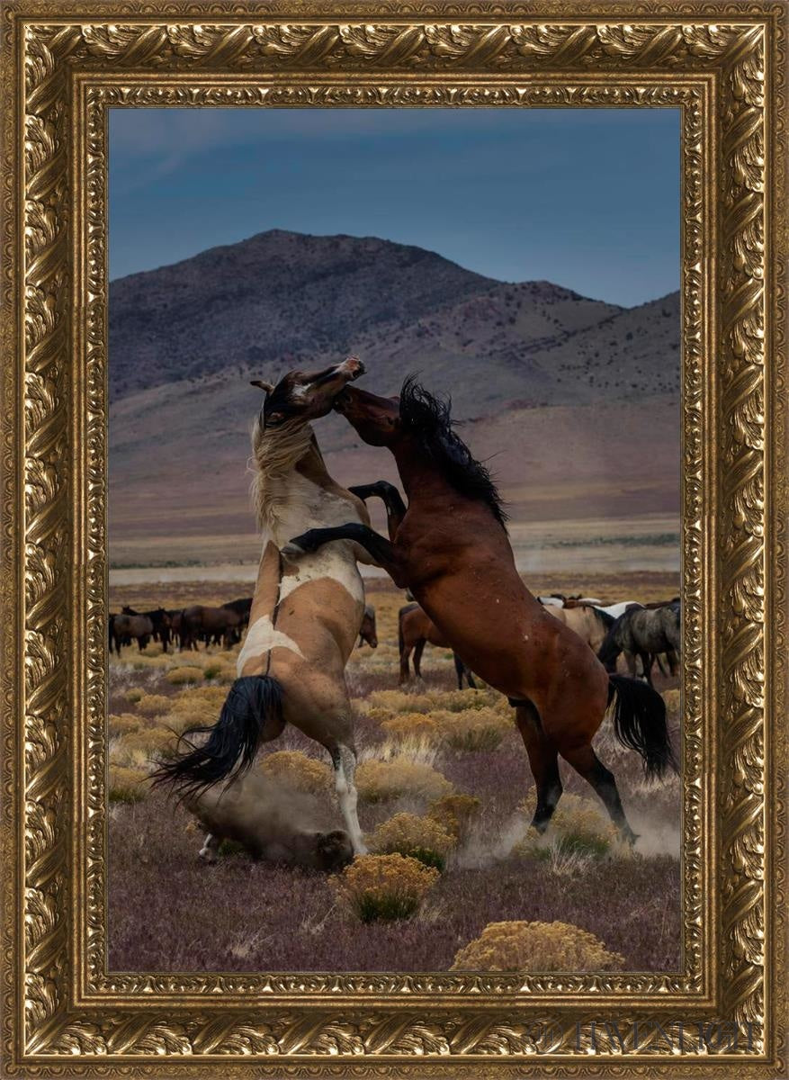 Desert Duel 1 by Greg Sargent - Western Adventure Novel for Adults | Perfect for Book Clubs, Gifts & Western Fiction Fans