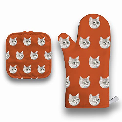 Orange Cat