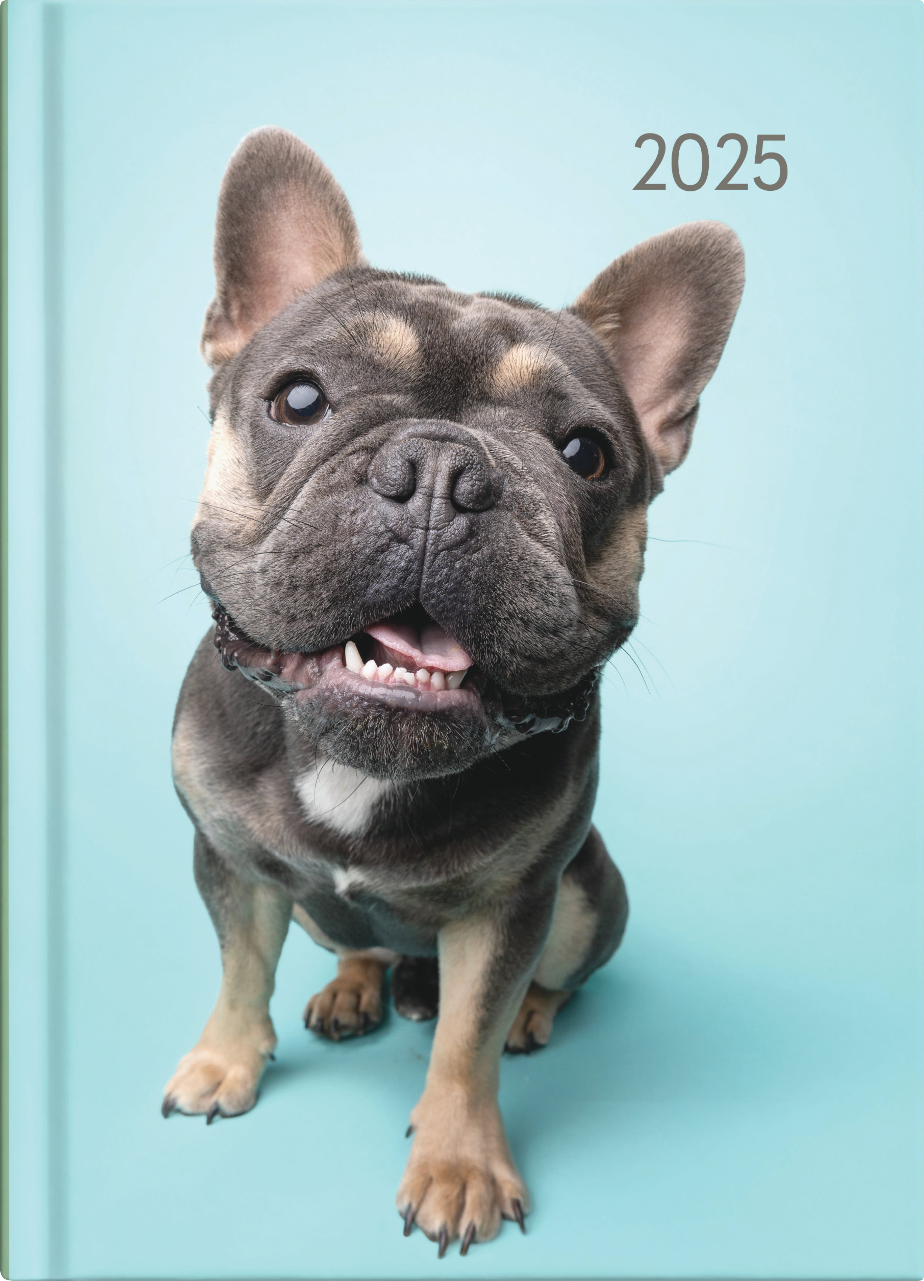 2025 Collins Diary A5 - Week to View Planner with Cats & Dogs Design, 148mm x 210mm - Perfect for Office, School & Personal Organization
