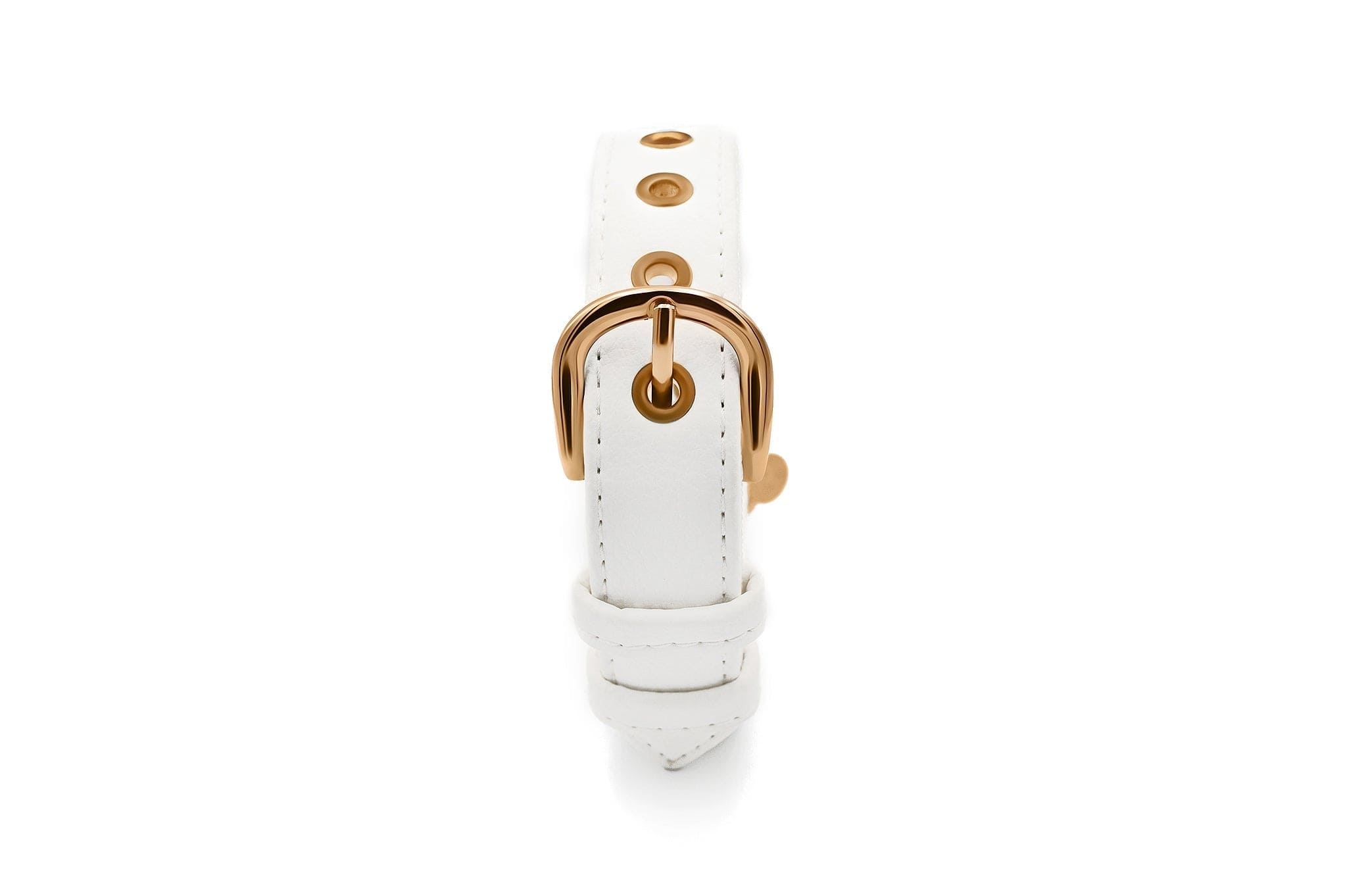 Vegan Leather Dog Collar - Eco-Friendly Piñatex® Material | White | Perfect for Daily Walks & Outdoor Adventures