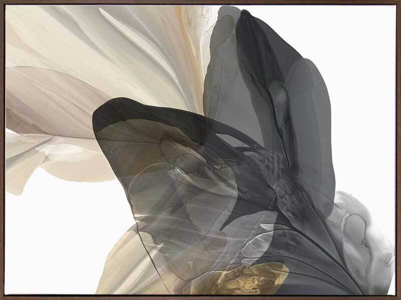 Fall from Grace II Canvas Art Print - Modern Wall Decor for Living Room, Bedroom & Office - Premium Gallery Wrapped Ready to Hang