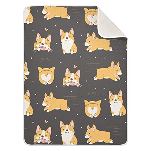 07-corgi