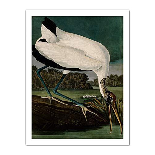 Framed White 18X24