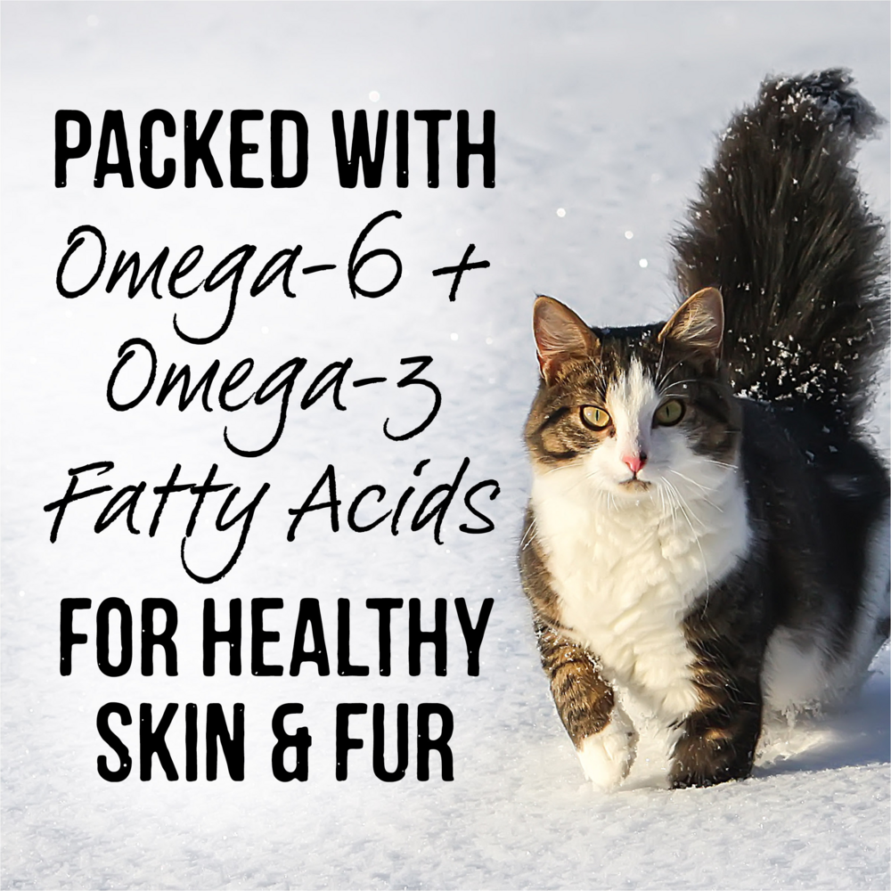Merrick Backcountry Grain Free Gluten Free High Protein Wet Cat Food - Rabbit Recipe with Gravy | Premium Natural Cat Food for Indoor & Outdoor Cats | Perfect for Weight Management & Sensitive Stomachs