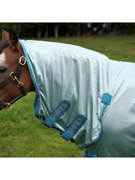 Shires Winnie and Me Fly Combo Rug - Lightweight Horse Fly Sheet with UV Protection - Perfect for Summer Riding, Trail Adventures, and Pasture Turnout