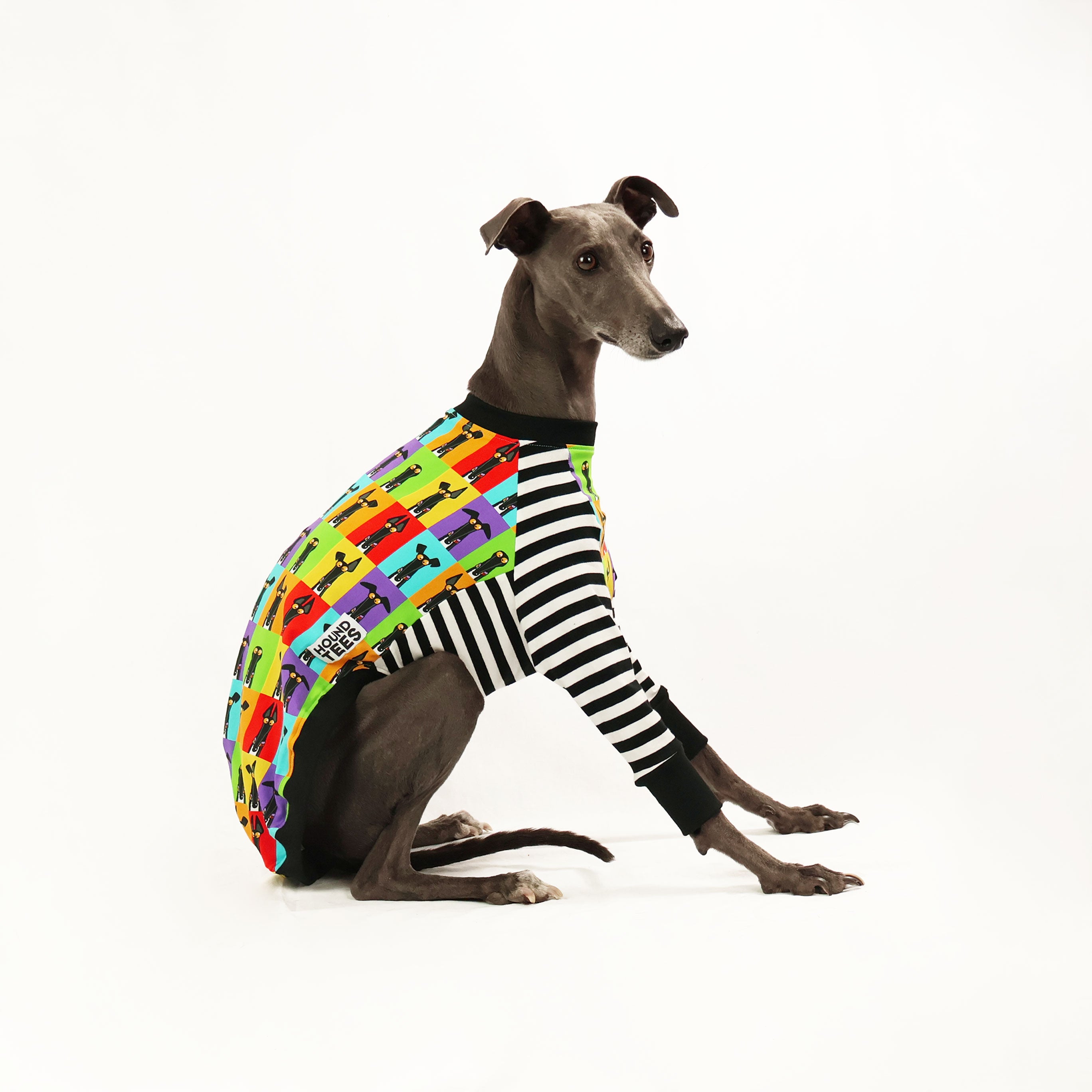 Semaphore Whippet Long Sleeve Hound T-Shirt - Comfortable Dog Lover Apparel for Casual Wear & Outdoor Activities