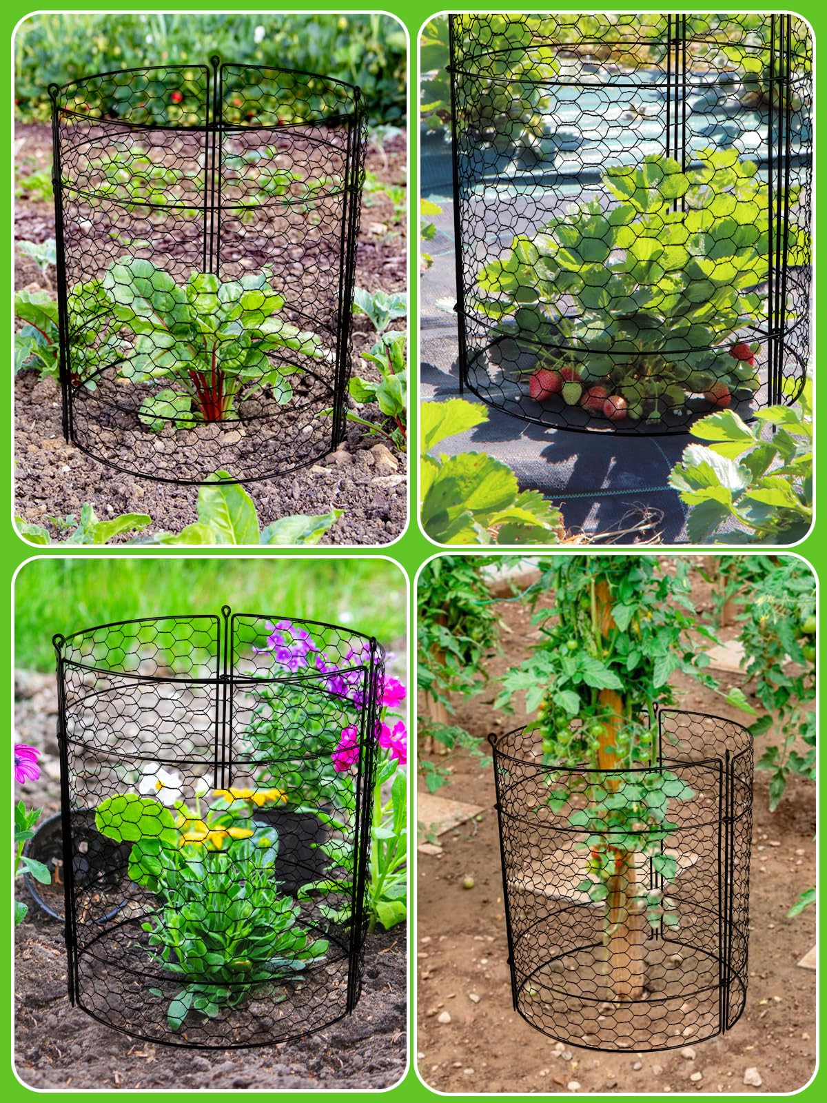 Kalolary 10-Pack Large 20'' x 14'' Metal Garden Plant Protectors - Animal Proof Wire Cages with Stakes for Rabbits, Squirrels & Pets - Perfect for Vegetable Gardens, Flower Beds & Potted Plants