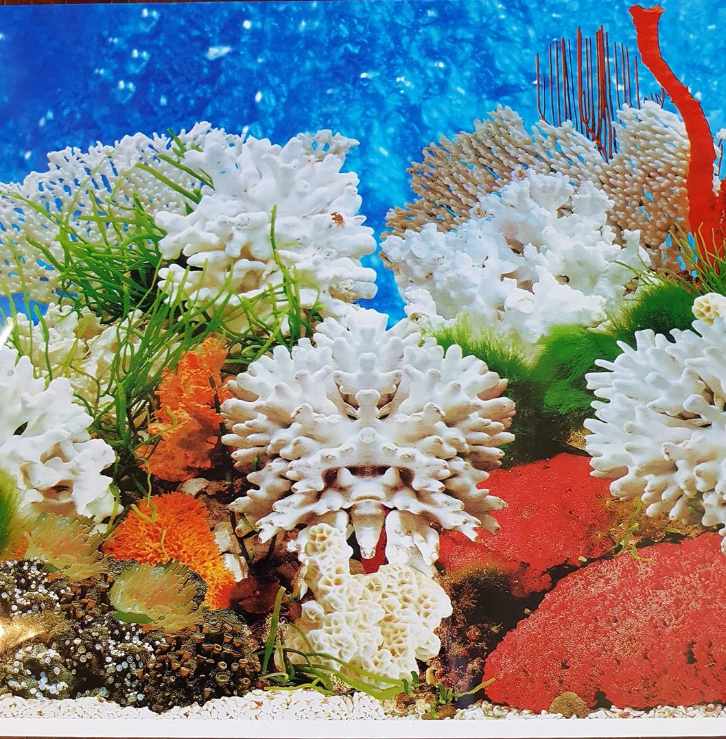 Double Sided Aquarium Background Decor 60
