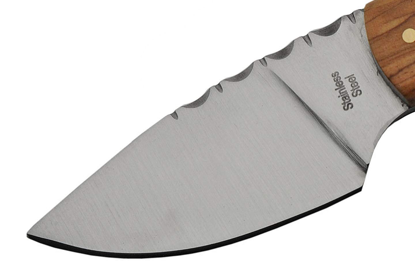 Szco Supplies Wild Stag Skinning Knife SS-7028 - Premium Hunting Knife for Outdoor, Camping & Survival | Durable Stainless Steel Blade with Stag Handle