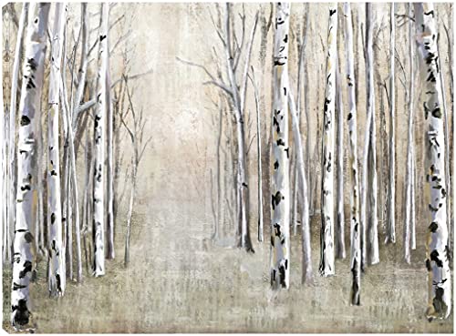 Birch Tree Path
