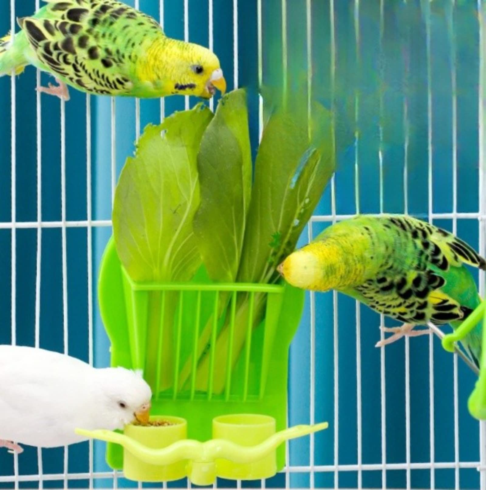 Premium Hanging Bird Feeder for Parrots - Durable Cage Fruit & Vegetable Holder - Pet Food Dispenser for Birds - Perfect for Cages, Aviaries & Bird Play Areas