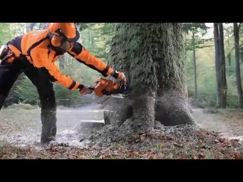 STIHL MS 661 C-M Magnum 91.1cc Professional Chainsaw - 20-Inch Bar, High Power & Fast Cutting for Forestry, Tree Felling & Heavy-Duty Wood Cutting