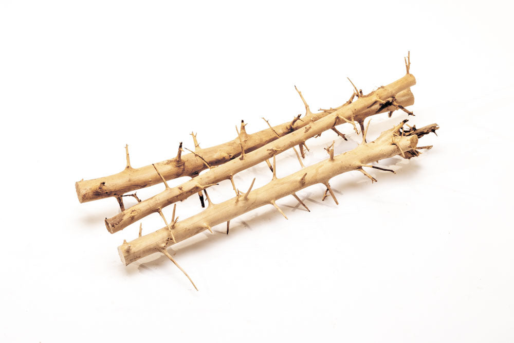 Premium Thorn Wood for DIY Crafts, Home Decor, and Woodworking Projects – Perfect for Rustic Furniture, Wall Art, and Handmade Gifts