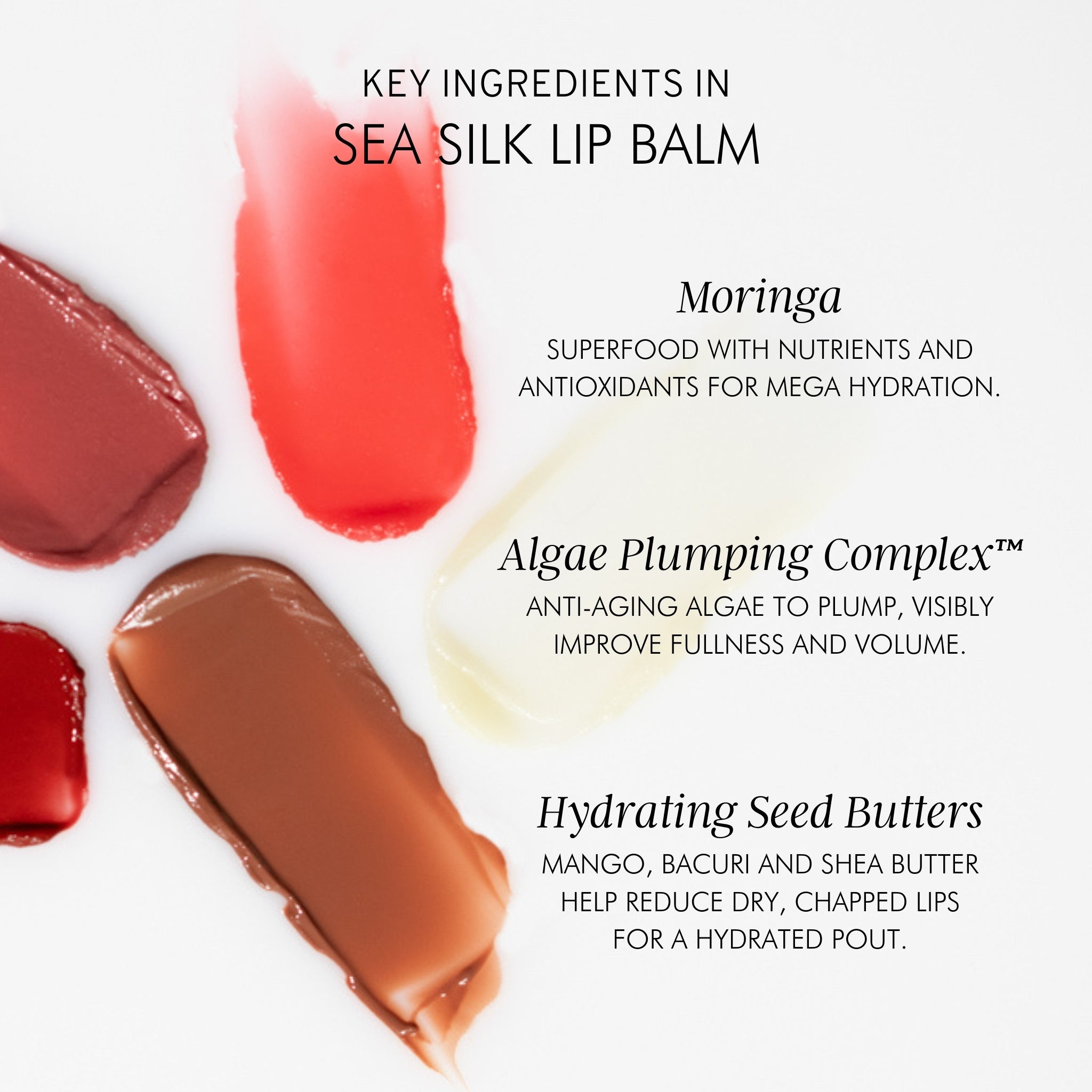 Algae & Moringa Sea Silk Lip Balm - Ultra Hydrating Natural Lip Care for Dry, Chapped Lips | Perfect for Winter Skincare & Daily Moisturizing