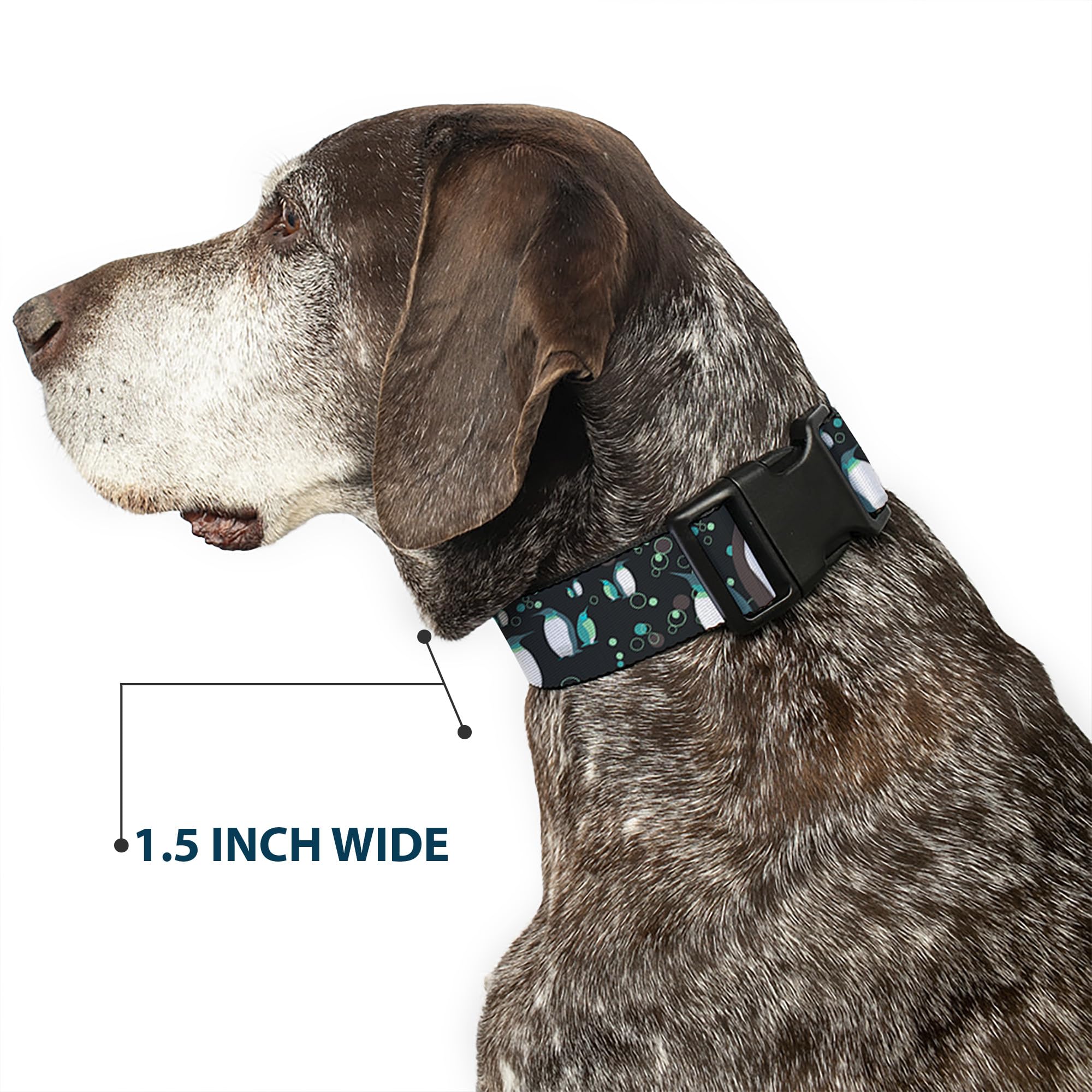 Buckle-Down Plastic Clip Dog Collar - Emperor Penguins with Bubbles Design (Black/Gray/Turquoise) - 1 Inch Wide - Adjustable 15-26 Inch Neck - Large Size - Perfect for Daily Walks, Pet Fashion & Outdoor Adventures