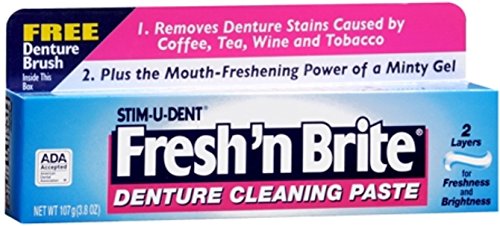Fresh 'N Brite Denture Cleaning Paste - 3.80 Oz (Pack of 4) | Removes Stains & Odors | Safe for Dentures, Retainers & Mouthguards | Daily Dental Care Solution