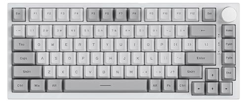 Gris&blanc (USB-C Wired,AS Red Switch)