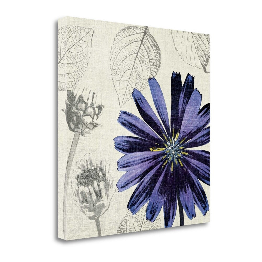 Tandi Venter A Touch Of Color III - Fine Art Giclee Print on Gallery Wrap Canvas - Ready to Hang Wall Decor for Living Room, Bedroom & Office