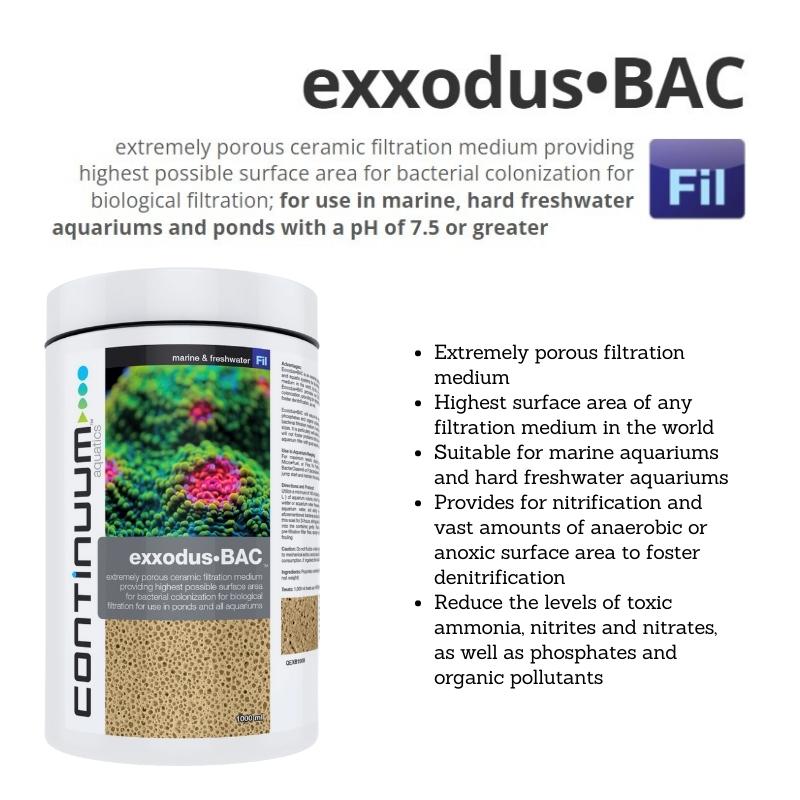 CONTINUUM EXXODUS BAC CUBES - Premium Probiotic Supplement for Gut Health & Digestion - Supports Immune System - Perfect for Travel, Work & Daily Wellness Routine