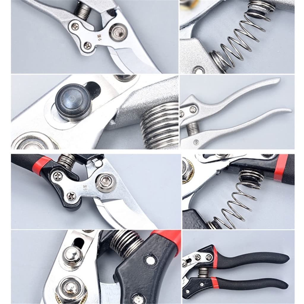 **Premium Garden Scissors - Heavy Duty Pruning Shears for Cutting Branches, Trimming Trees, and Harvesting Fruits & Flowers - Ideal for Farming, Potted Plants, and Home Gardening**