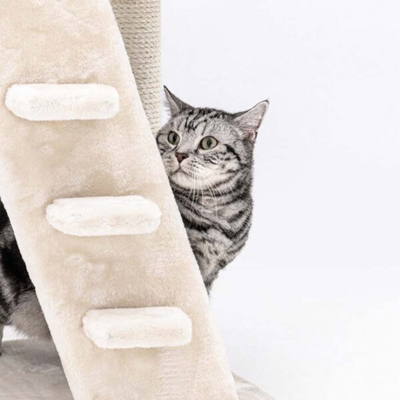Little Rebels Reno 110cm Cat Tree - Multi-Level Cat Tower with Scratching Posts & Perches for Indoor Cats | Perfect for Play, Rest & Climbing in Small Spaces