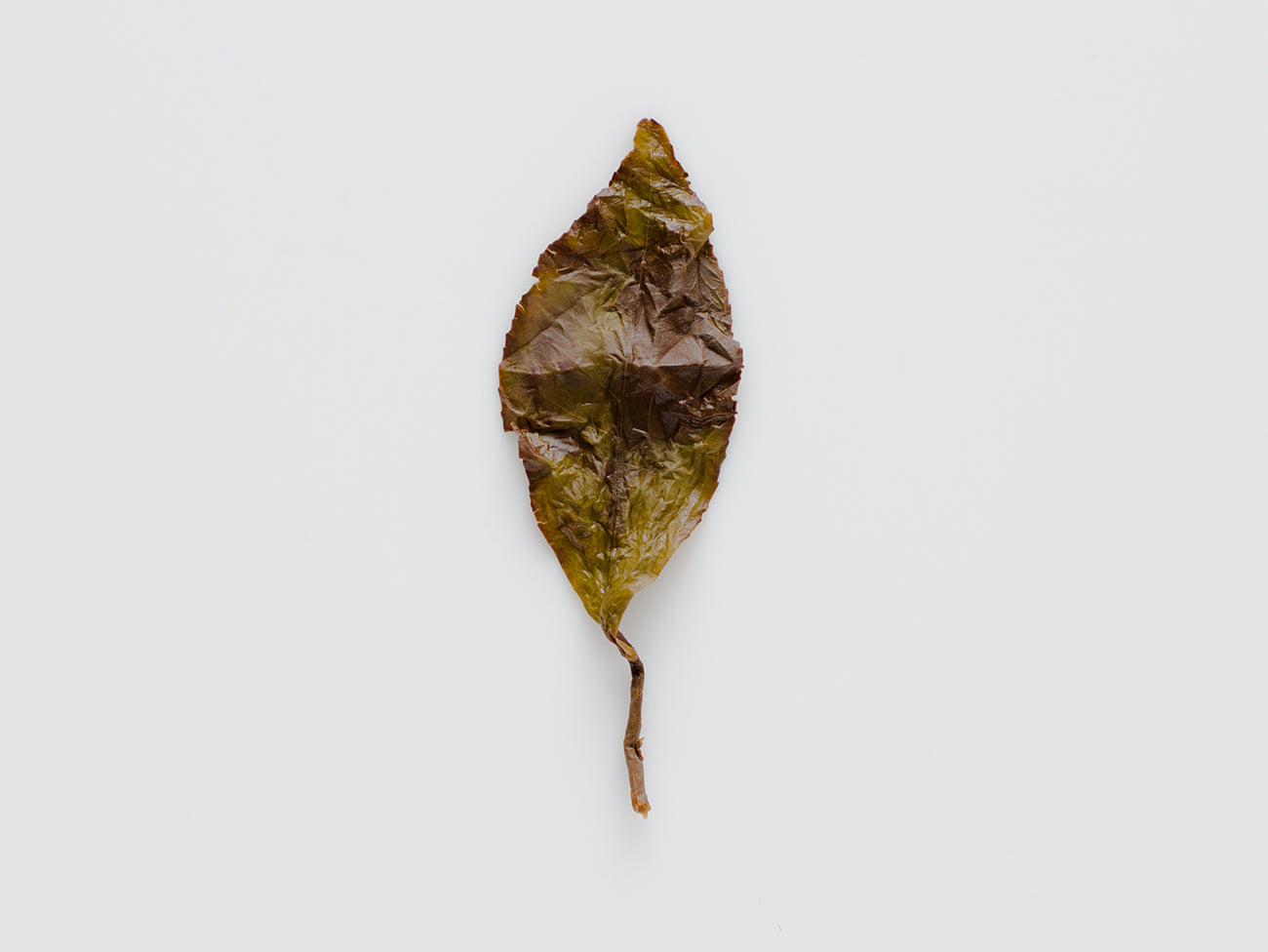 Premium Formosa Yancha Oolong Tea - Authentic Taiwanese High Mountain Tea for Relaxation & Gifting | Perfect for Afternoon Tea & Meditation
