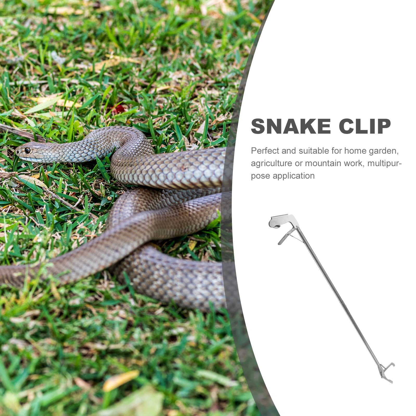 BESPORTBLE Stainless Steel Snake Capture Hook - Reptile Feeding Tool for Lizards, Crabs, and Snakes | Durable Garbage Collector & Grabber for Outdoor Hunting and Pet Care