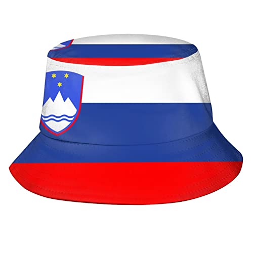 Slovenia Flag