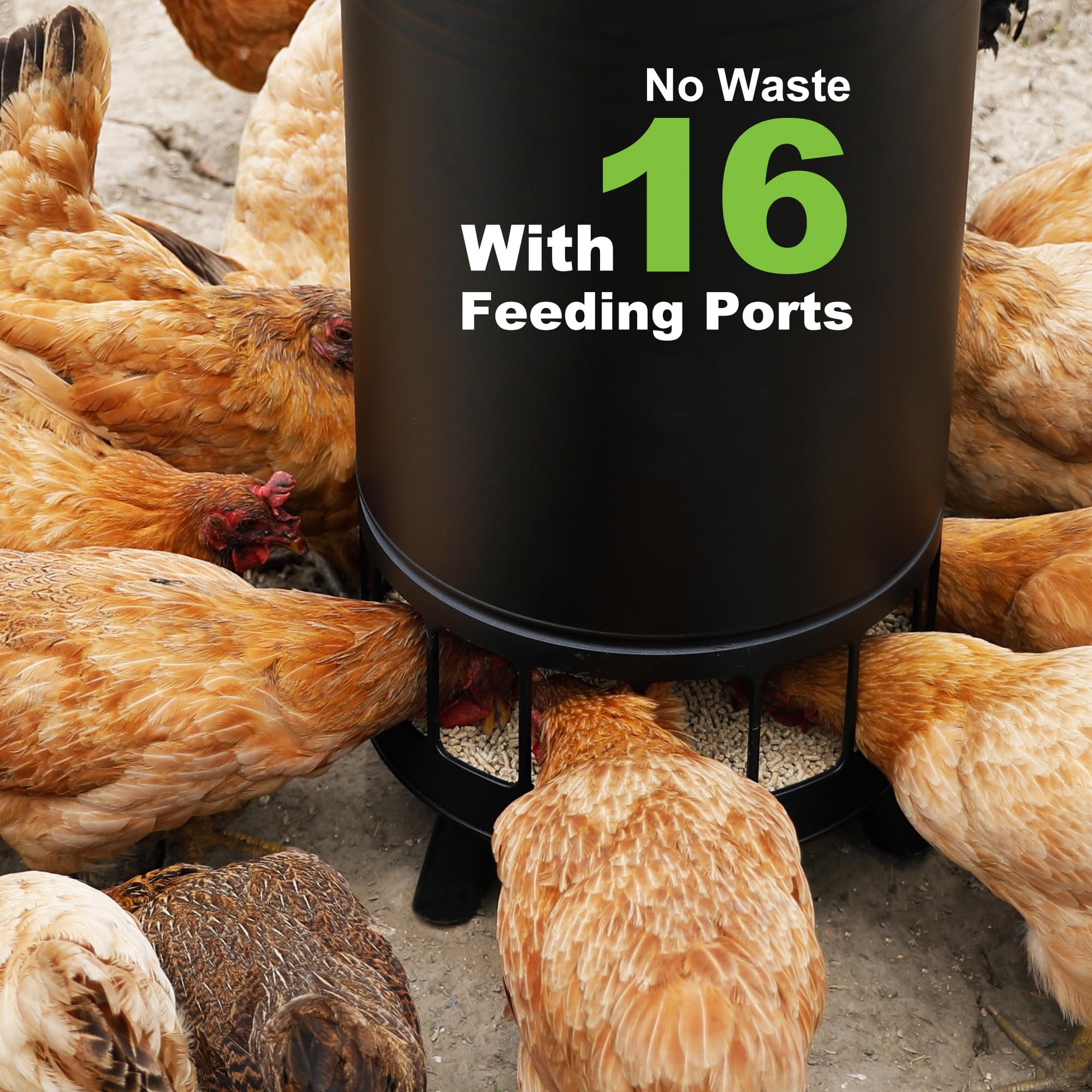 Solution4Patio 65 LB Large Free Standing Chicken Feeder - Automatic Gravity Poultry Feeder with 16 Ports, No Waste Design for Hens & Chickens - Perfect for Coops, Farms & Backyard Poultry Raising